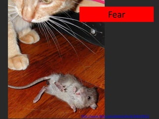 Second hardest part == keep doing it