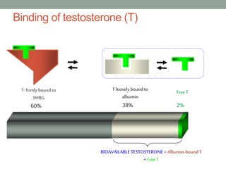 Testosterone Deficiency in Male by Dr Selim | PPTX