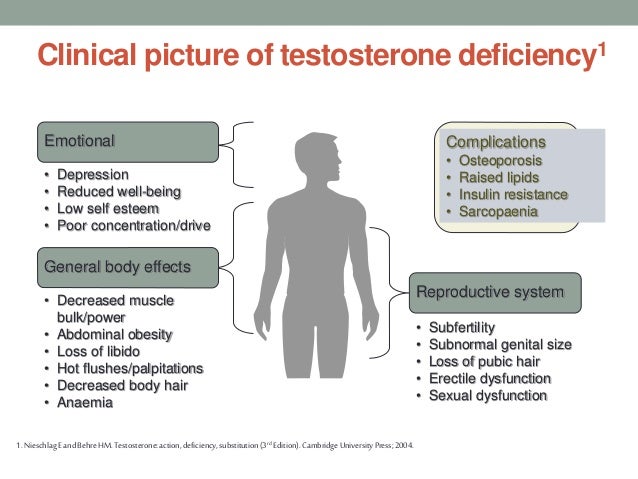 Testosterone Deficiency In Male By Dr Selim - 