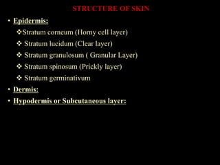 STRUCTURE OF SKIN
• Epidermis:
Stratum corneum (Horny cell layer)
 Stratum lucidum (Clear layer)
 Stratum granulosum ( Granular Layer)
 Stratum spinosum (Prickly layer)
 Stratum germinativum
• Dermis:
• Hypodermis or Subcutaneous layer:
 