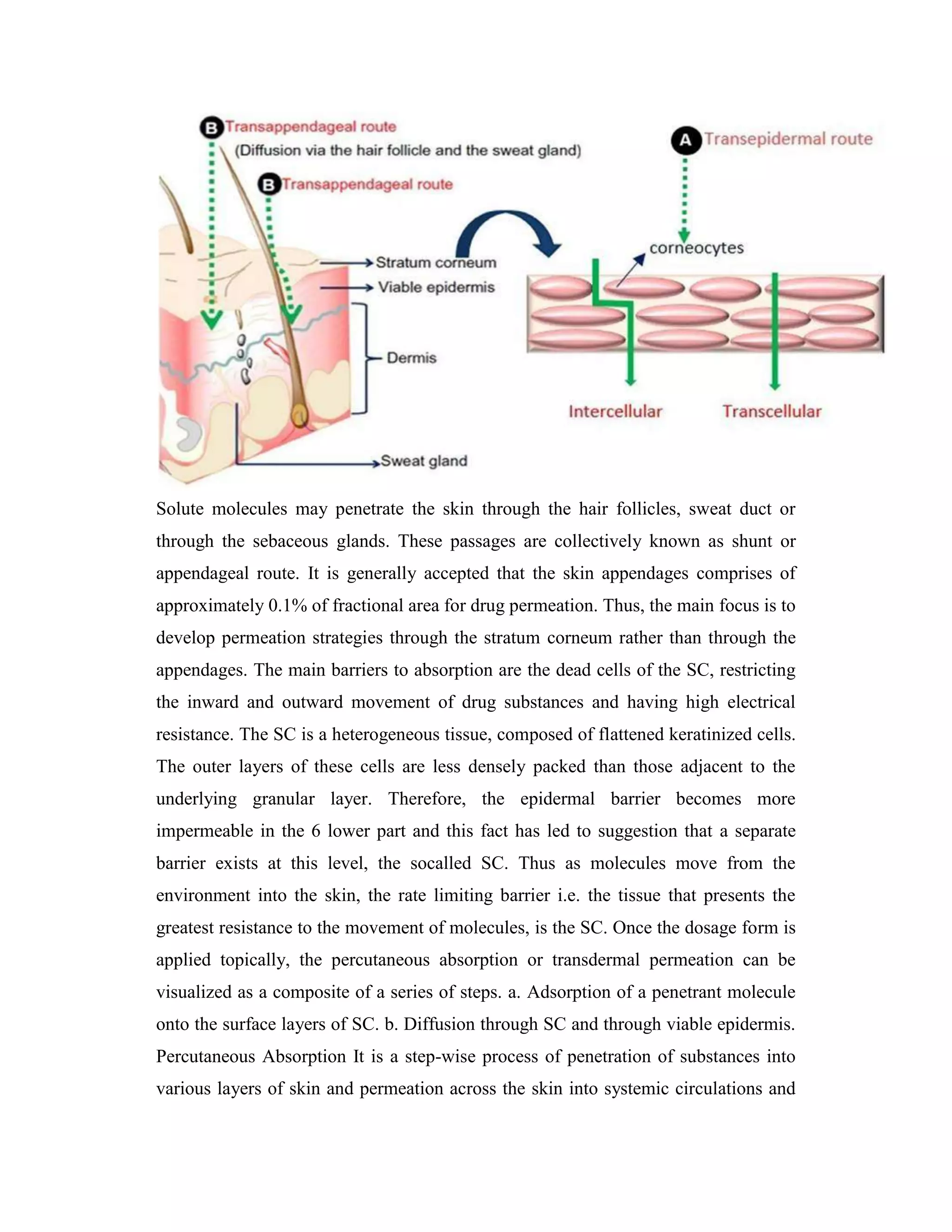 Solute molecules may penetrate the skin through the hair follicles, sweat duct or
through the sebaceous glands. These passages are collectively known as shunt or
appendageal route. It is generally accepted that the skin appendages comprises of
approximately 0.1% of fractional area for drug permeation. Thus, the main focus is to
develop permeation strategies through the stratum corneum rather than through the
appendages. The main barriers to absorption are the dead cells of the SC, restricting
the inward and outward movement of drug substances and having high electrical
resistance. The SC is a heterogeneous tissue, composed of flattened keratinized cells.
The outer layers of these cells are less densely packed than those adjacent to the
underlying granular layer. Therefore, the epidermal barrier becomes more
impermeable in the 6 lower part and this fact has led to suggestion that a separate
barrier exists at this level, the socalled SC. Thus as molecules move from the
environment into the skin, the rate limiting barrier i.e. the tissue that presents the
greatest resistance to the movement of molecules, is the SC. Once the dosage form is
applied topically, the percutaneous absorption or transdermal permeation can be
visualized as a composite of a series of steps. a. Adsorption of a penetrant molecule
onto the surface layers of SC. b. Diffusion through SC and through viable epidermis.
Percutaneous Absorption It is a step-wise process of penetration of substances into
various layers of skin and permeation across the skin into systemic circulations and
 