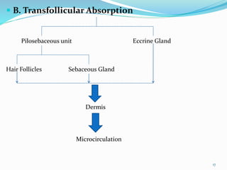  B. Transfollicular Absorption
17
Pilosebaceous unit Eccrine Gland
Hair Follicles Sebaceous Gland
Dermis
Microcirculation
 