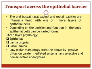 ON
Transport across the epithelial barrier
• The oral buccal nasal vaginal and rectal cavities are
internally lined with one or more layers of
epithelial cells
• Depending on the position and function in the body
epithelial cells can be varied forms
Three layer physiology:
 Epithelial
 Lamia propria
 Basal lamina
• Low molar mass drugs cross the above by passive
difussion carrier mediated systems ans selective and
non-selective endocytosis
 