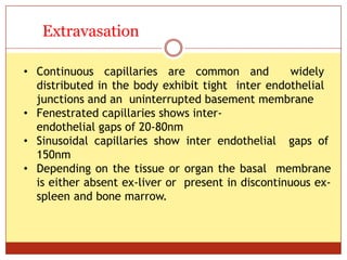 ON
Extravasation
• Continuous capillaries are common and widely
distributed in the body exhibit tight inter endothelial
junctions and an uninterrupted basement membrane
• Fenestrated capillaries shows inter-
endothelial gaps of 20-80nm
• Sinusoidal capillaries show inter endothelial gaps of
150nm
• Depending on the tissue or organ the basal membrane
is either absent ex-liver or present in discontinuous ex-
spleen and bone marrow.
 