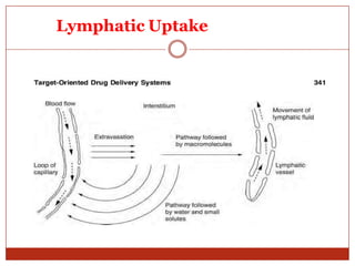 ON
Lymphatic Uptake
 
