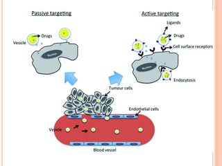 Targeted drug delivery system | PPTX