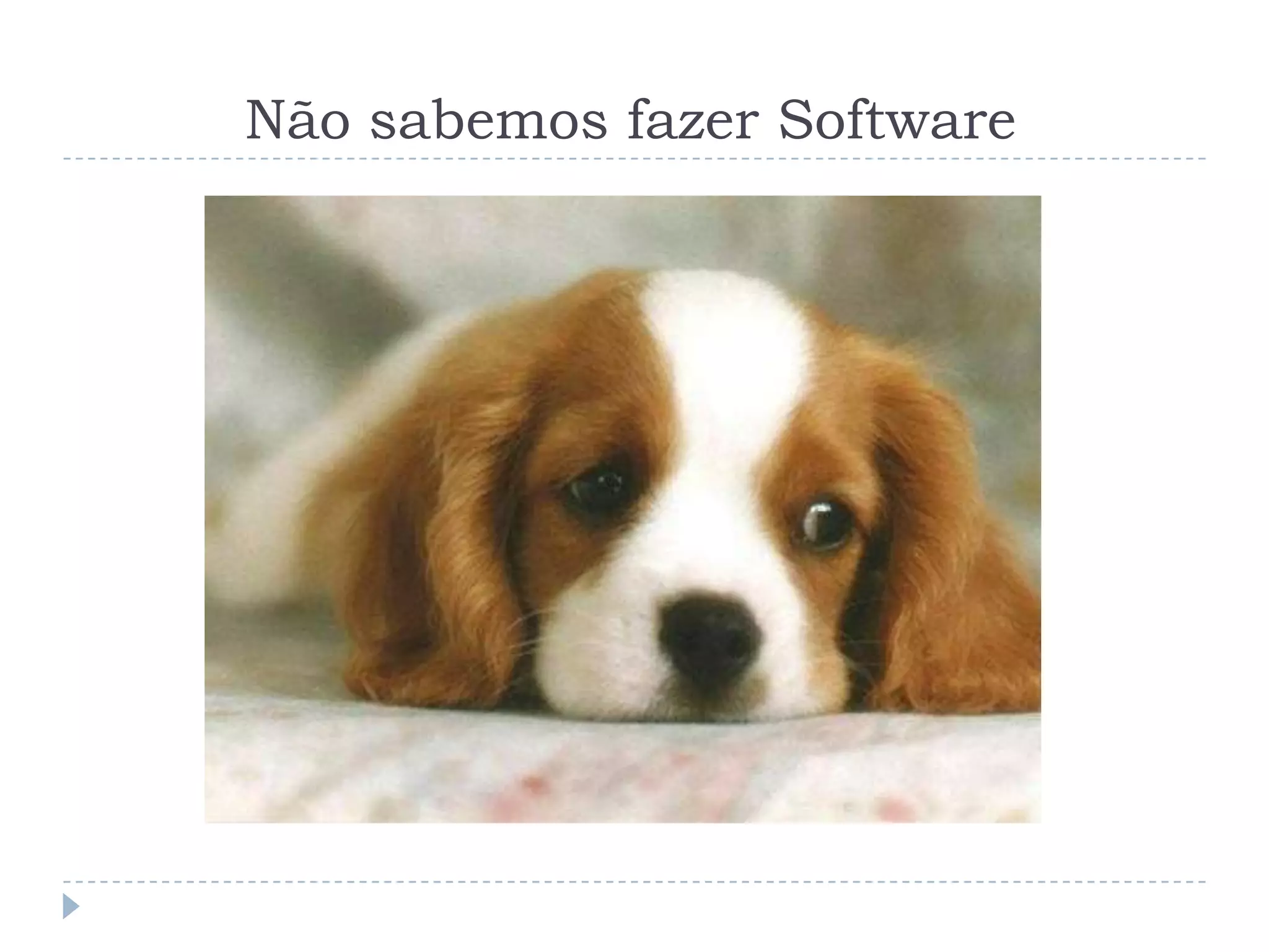 Não sabemos fazer Software