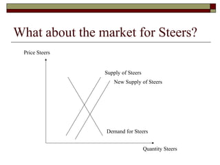 What about the market for Steers?
Supply of Steers
Demand for Steers
Price Steers
Quantity Steers
New Supply of Steers
 