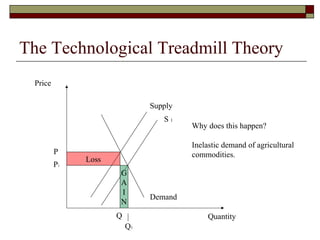 The Technological Treadmill Theory
Supply
Demand
Price
Quantity
S 1
Why does this happen?
Inelastic demand of agricultural
commodities.P
P1
Q
Q1
Loss
G
A
I
N
 