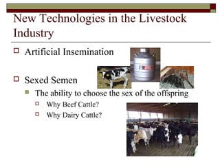 New Technologies in the Livestock
Industry
 Artificial Insemination
 Sexed Semen
 The ability to choose the sex of the offspring
 Why Beef Cattle?
 Why Dairy Cattle?
 