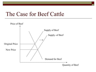 The Case for Beef Cattle
Supply of Beef
Demand for Beef
Price of Beef
Quantity of Beef
Supply1 of Beef
Original Price
New Price
 