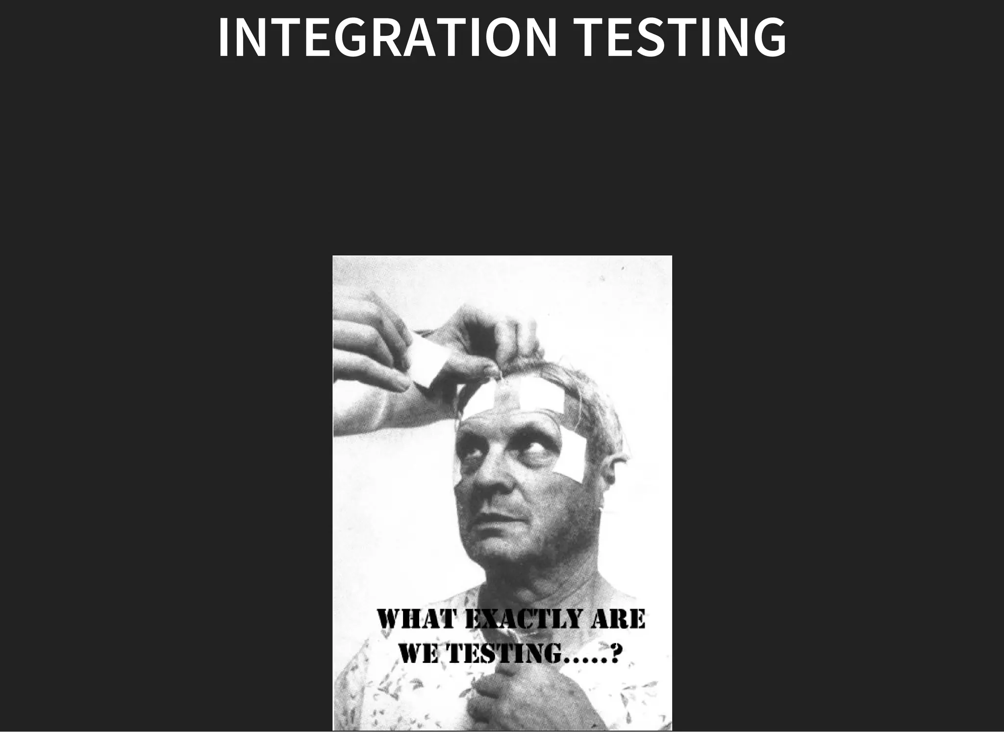 INTEGRATION TESTING
 