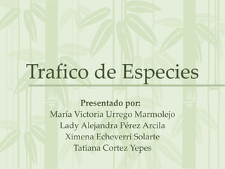 Trafico de Especies Presentado por:  María Victoria Urrego Marmolejo Lady Alejandra Pérez Arcila Ximena Echeverri Solarte Tatiana Cortez Yepes 