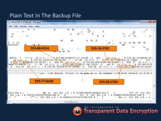 Plain Text In The Backup File




                                An Introduction To
 