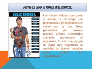 Los efectos dañinos que causa
el alcohol en el cuerpo son
innumerables, principalmente el
etanol que es una droga
psicoactiva que provoca
muchos efectos secundarios
alterando gravemente el
organismo. En este caso juegan
un papel muy importante la
cantidad de alcohol ingerido,
como también las
circunstancias.
EFECTOS QUE CAUSA EL ALCOHOL EN EL ORGANISMO
 