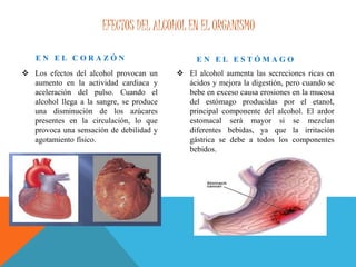EFECTOS DEL ALCOHOL EN EL ORGANISMO
E N E L C O R A Z Ó N
 Los efectos del alcohol provocan un
aumento en la actividad cardiaca y
aceleración del pulso. Cuando el
alcohol llega a la sangre, se produce
una disminución de los azúcares
presentes en la circulación, lo que
provoca una sensación de debilidad y
agotamiento físico.
E N E L E S T Ó M A G O
 El alcohol aumenta las secreciones ricas en
ácidos y mejora la digestión, pero cuando se
bebe en exceso causa erosiones en la mucosa
del estómago producidas por el etanol,
principal componente del alcohol. El ardor
estomacal será mayor si se mezclan
diferentes bebidas, ya que la irritación
gástrica se debe a todos los componentes
bebidos.
 