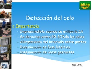 Detección del celo
Importancia
– Imprescindible cuando se utiliza la IA
– Se detectan entre 50-60%de los celos
– Alargamiento del intervalo entre partos
– Inseminación en fase luteínica
– Inseminación de vacas gestantes
USC 2009
 