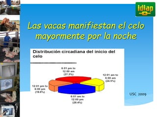 Las vacas manifiestan el celo
mayormente por la noche
USC 2009
 