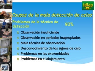 Causas de la mala detección de celos
Problemas de la técnica de
detección 90%
Observación insuficiente
Observación en periodos inapropiados
Mala técnica de observación
Desconocimiento de los signos de celo
Problemas en las extremidades
Problemas en el alojamiento
 