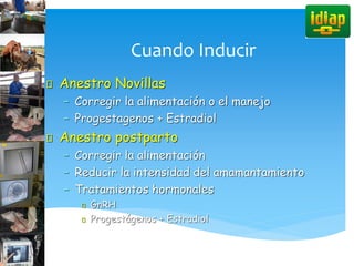 Cuando Inducir
Anestro Novillas
– Corregir la alimentación o el manejo
– Progestagenos + Estradiol
Anestro postparto
– Corregir la alimentación
– Reducir la intensidad del amamantamiento
– Tratamientos hormonales
GnRH
Progestágenos + Estradiol
 