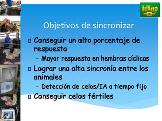 Objetivos de sincronizar
Conseguir un alto porcentaje de
respuesta
– Mayor respuesta en hembras cíclicas
Lograr una alta sincronía entre los
animales
– Detección de celos/IA a tiempo fijo
Conseguir celos fértiles
 