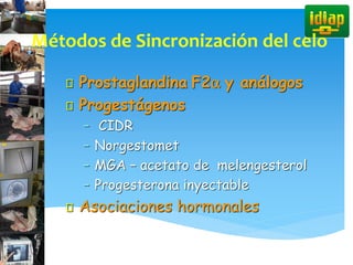 Prostaglandina F2a y análogos
Progestágenos
– CIDR
– Norgestomet
– MGA – acetato de melengesterol
– Progesterona inyectable
Asociaciones hormonales
Métodos de Sincronización del celo
 