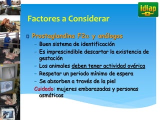 Prostaglandina F2a y análogos
– Buen sistema de identificación
– Es imprescindible descartar la existencia de
gestación
– Los animales deben tener actividad ovárica
– Respetar un periodo mínimo de espera
– Se absorben a través de la piel
Cuidado: mujeres embarazadas y personas
asmáticas
Factores a Considerar
 