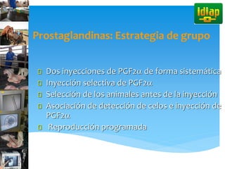 Prostaglandinas: Estrategia de grupo
Dos inyecciones de PGF2a de forma sistemática
Inyección selectiva de PGF2a
Selección de los animales antes de la inyección
Asociación de detección de celos e inyección de
PGF2a
Reproducción programada
 