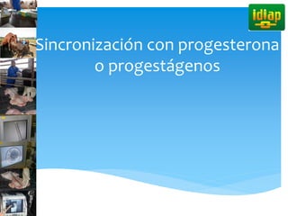 Sincronización con progesterona
o progestágenos
 