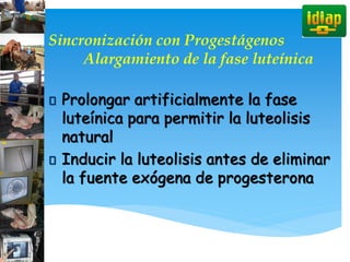 Sincronización con Progestágenos
Alargamiento de la fase luteínica
Prolongar artificialmente la fase
luteínica para permitir la luteolisis
natural
Inducir la luteolisis antes de eliminar
la fuente exógena de progesterona
 