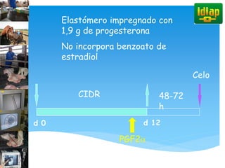 Elastómero impregnado con
1,9 g de progesterona
No incorpora benzoato de
estradiol
 