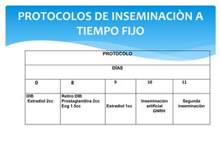 PROTOCOLOS DE INSEMINACIÒN A
TIEMPO FIJO
PROTOCOLO
DÍAS
0 8 9 10 11
DIB
Estradiol 2cc
Retiro DIB
Prostaglandina 2cc
Ecg 1.5cc Estradiol 1cc
Inseminaciòn
artificial
GNRH
Segunda
inseminaciòn
 