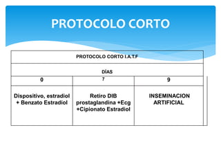 PROTOCOLO CORTO
PROTOCOLO CORTO I.A.T.F
DÍAS
0 7 9
Dispositivo, estradiol
+ Benzato Estradiol
Retiro DIB
prostaglandina +Ecg
+Cipionato Estradiol
INSEMINACION
ARTIFICIAL
 