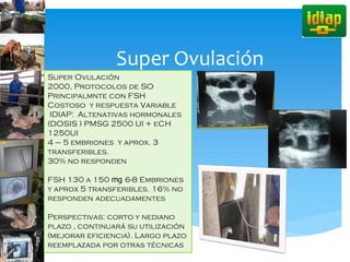 Super Ovulación
Super Ovulación
2000, Protocolos de SO
Principalmnte con FSH
Costoso y respuesta Variable
IDIAP: Altenativas hormonales
(DOSIS ) PMSG 2500 UI + eCH
1250UI
4 – 5 embriones y aprox. 3
transferibles.
30% no responden
FSH 130 a 150 mg 6-8 Embriones
y aprox 5 transferibles. 16% no
responden adecuadamentes
Perspectivas: corto y nediano
plazo , continuará su utilización
(mejorar eficiencia). Largo plazo
reemplazada por otras técnicas
 