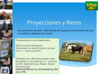 Proyecciones y Retos
Sincronización de celos: Alternativas de P4 para la sincronización de celo
y ovulación ( abaratar los costos)
Transferencia de Embriones:
Resultados Veriables:
Sincronía de receptoras calidad
de cl – niveles de P4.
Perspectiva: Metodologías paRa
mejorar la calidad de cl – niveles
de P4 (Dispositivos, Reset, Reset
modificado)
INDUCCIÖN de CL accesorio el Día
de la TE.
 