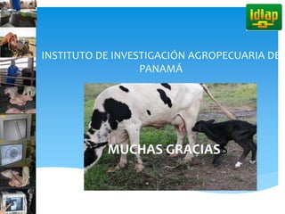 INSTITUTO DE INVESTIGACIÓN AGROPECUARIA DE
PANAMÁ
MUCHAS GRACIASS
 