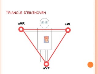 TRIANGLE D’EINTHOVEN

 