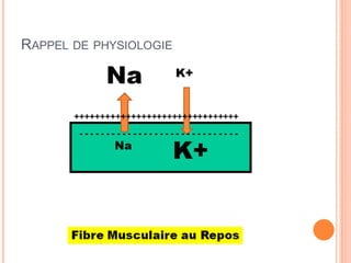 RAPPEL DE

PHYSIOLOGIE

++++++++++++++++++++++++++++++++
------------------------------

 