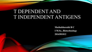 T DEPENDENT AND
T INDEPENDENT ANTIGENS
Muthubharathi B C
I M.Sc., Biotechnology
2016501012
 