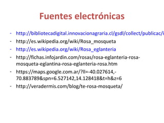 Fuentes electrónicas
- http://bibliotecadigital.innovacionagraria.cl/gsdl/collect/publicac/i
- http://es.wikipedia.org/wiki/Rosa_mosqueta
- http://es.wikipedia.org/wiki/Rosa_eglanteria
- http://fichas.infojardin.com/rosas/rosa-eglanteria-rosa-
  mosqueta-eglantina-rosa-eglanteria-rosa.htm
- https://maps.google.com.ar/?ll=-40.027614,-
  70.883789&spn=6.527142,14.128418&t=h&z=6 
- http://veradermis.com/blog/te-rosa-mosqueta/
 