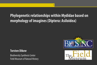 1




Phylogenetic relationships within Mydidae based on
morphology of imagines (Diptera: Asiloidea)




Torsten Dikow
Biodiversity Synthesis Center
Field Museum of Natural History
 
