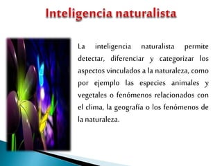 La inteligencia naturalista permite
detectar, diferenciar y categorizar los
aspectos vinculados a la naturaleza, como
por ejemplo las especies animales y
vegetales o fenómenos relacionados con
el clima, la geografía o los fenómenos de
la naturaleza.
 
