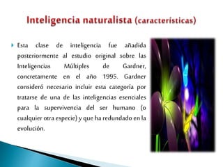  Esta clase de inteligencia fue añadida
posteriormente al estudio original sobre las
Inteligencias Múltiples de Gardner,
concretamente en el año 1995. Gardner
consideró necesario incluir esta categoría por
tratarse de una de las inteligencias esenciales
para la supervivencia del ser humano (o
cualquier otra especie) y que ha redundado en la
evolución.
 