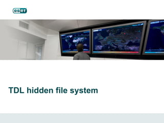 TDL hidden file system
 