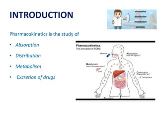 INTRODUCTION
Pharmacokinetics is the study of
• Absorption
• Distribution
• Metabolism
• Excretion of drugs
 