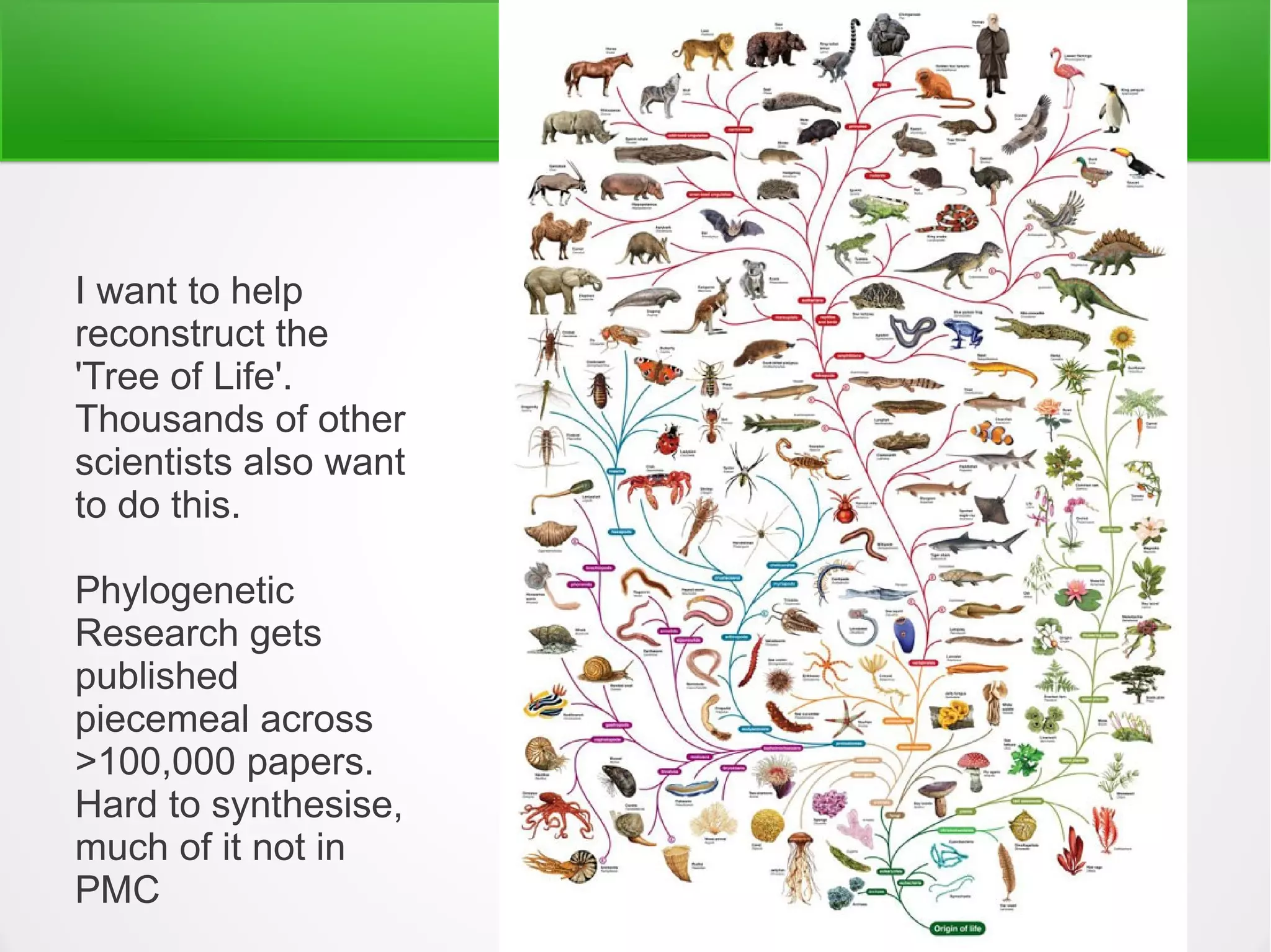 I want to help
reconstruct the
'Tree of Life'.
Thousands of other
scientists also want
to do this.

Phylogenetic
Research gets
published
piecemeal across
>100,000 papers.
Hard to synthesise,
much of it not in
PMC
 