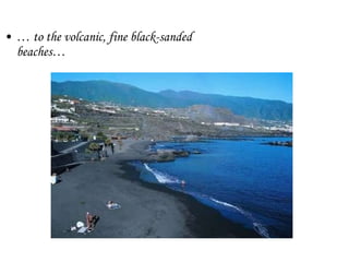 <ul><li>…  to the volcanic, fine black-sanded beaches… </li></ul>