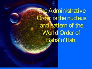 TheAdministrative
Order isthenucleus
and pattern of the
World Order of
Bahá’u’lláh.
 