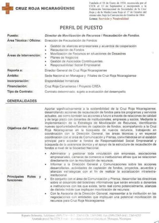 DIRECTOR DE MOVILIZACIÓN DE RECURSOS / RECAUDACIÓN DE FONDO