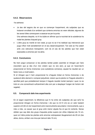 6.4.2. Observacions

1ra setmana:

      Ja des del segons dia en que va començar l’experiment, els subjectes que es
       trobaven envoltats d’un ambient que contenia amoníac es veien afectats; algunes de
       les seves fulles començaven a assecar-se per la punta.
       Una setmana després, no hi ha dubte en afirmar que la nocivitat de la substància ha
       matat les plantes d’aquest grup.
      L’altre grup es manté en bon estat, ja que no se li ha realitzat cap intervenció que
       pugui influir molt sensiblement en el seu desenvolupament. Tan sols se l’ha cobert
       amb una estructura transparent, com és el cas de les plantes que han estat
       exposades a amoníac per via aèria.


6.4.3. Conclusions

No hem pogut comprovar si les plantes també poden assimilar el nitrogen per l’aire
(recordem que ja des d’un inici creiem que no era així), ja que en haver-les-hi
proporcionat en forma d’amoníac (una substància corrosiva), aquest ha resultat ser un
factor nociu a nivell extern.
Si el nitrogen que li hem proporcionat ho s’hagués trobat en forma d’amoníac o de
qualsevol altre element o compost perjudicial, creiem que la planta no l’hagués absorbit o
aprofitat però que probablement tampoc li hagués resultat mortal (sempre i quan no es
trobi en una concentració suficientment alta com per a desplaçar l’oxigen de l’entorn del
vegetal).


6.5.     Comparació dels tres experiments


En el segon experiment, la diferència que hi ha entre els subjectes als que se’ls ha
proporcionat nitrogen en forma d’amoníac i els que no (5,13 cm) es un valor bastant
superior al 0,92 cm de l’experiment amb macronutrients secundaris i micronutrients, que a
més a més, va causar que el grup amb menor alçada fos el que té nutrients. Sense
oblidar que cap dels dos grups d’aquesta proba supera (en xifres mitjanes) els 14 cm,
quan en l’altra proba les plantes amb amoníac sobrepassen lleugerament els 20 cm (les
altres, doncs, arriben una mica per damunt dels 15 cm).




 
                                                        
                                          Pàgina 42 
                                                        
 